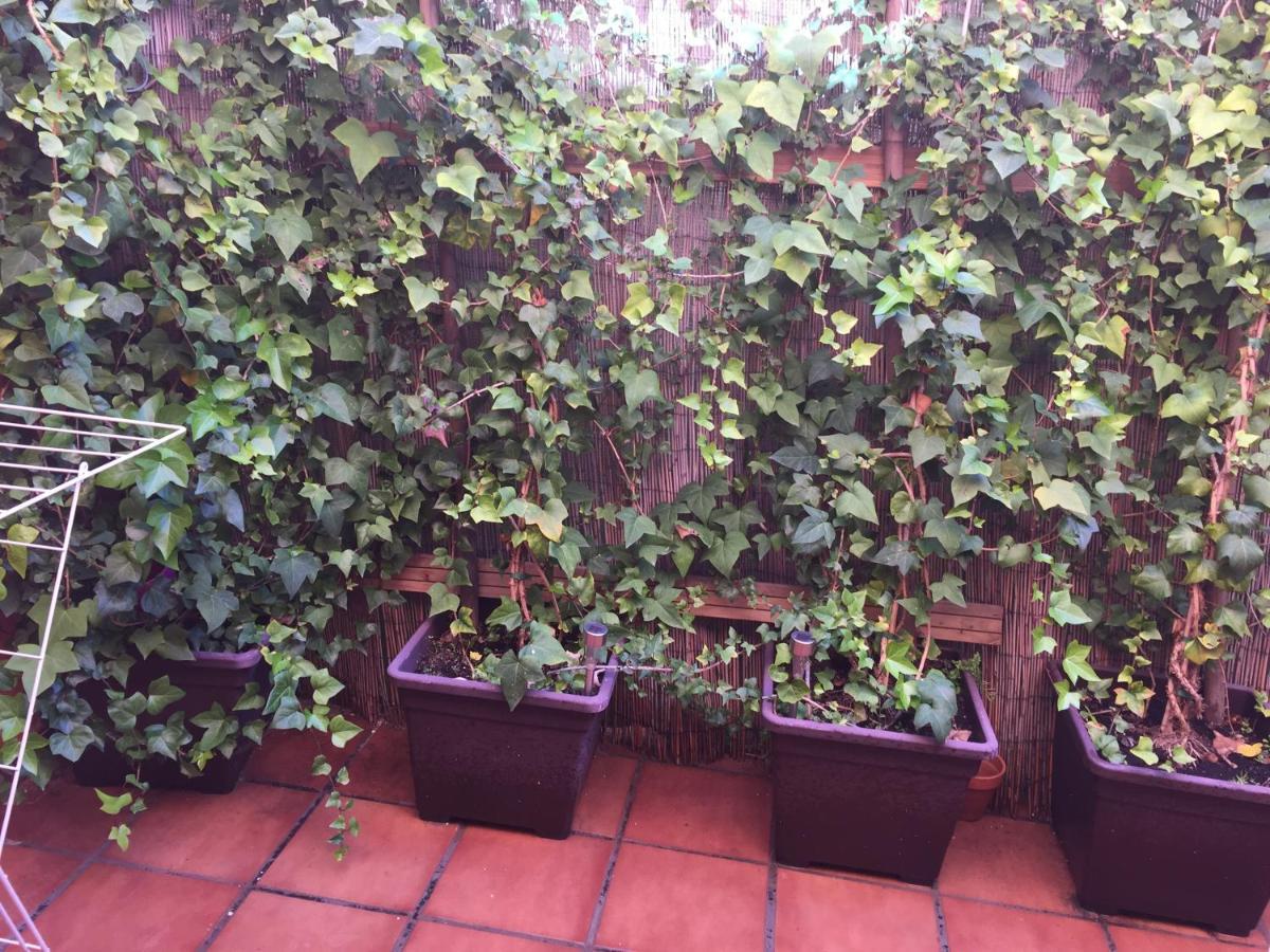 Bonito Piso Centro De Los Boliches Fuengirola Luaran gambar